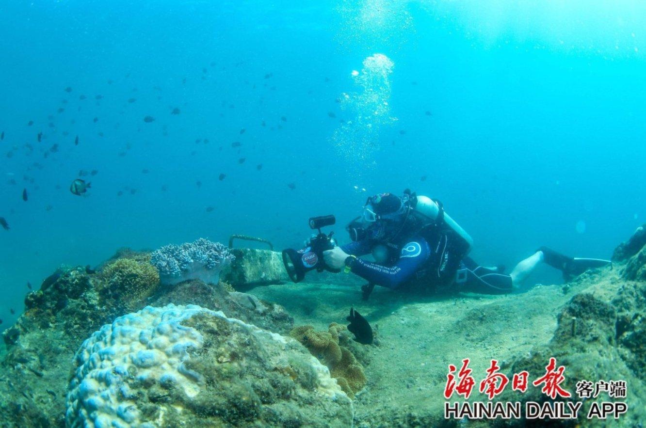 热血羽毛球